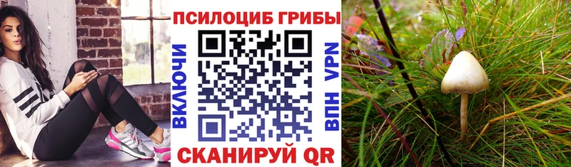 Псилоцибиновые грибы ЛСД  blacksprut сайт  Ростов-на-Дону  где купить наркоту 